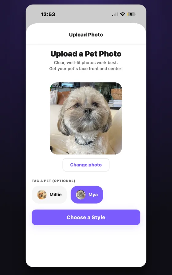 The upload screen: choose a photo from your camera roll