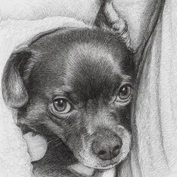 Pencil sketch